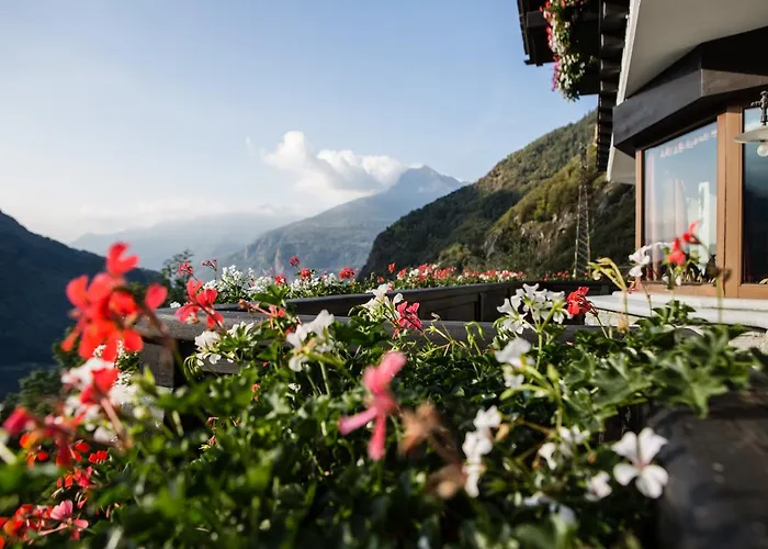 Masoun Dou Caro Pont-Saint-Martin