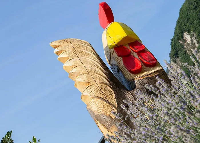 Guest house Masoun Dou Caro 3*